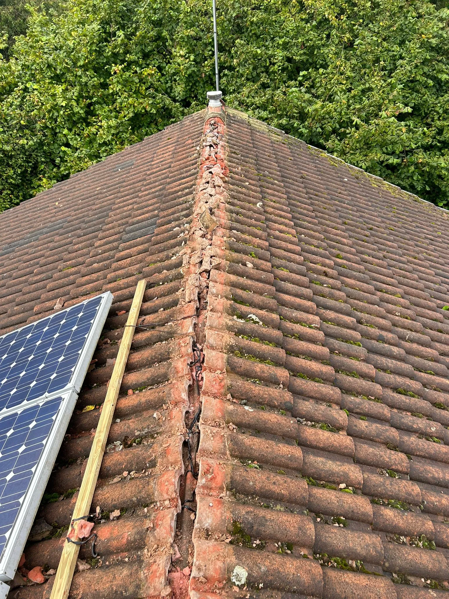 Ward Home Improvements Projects