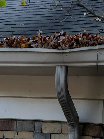 Guttering Services
